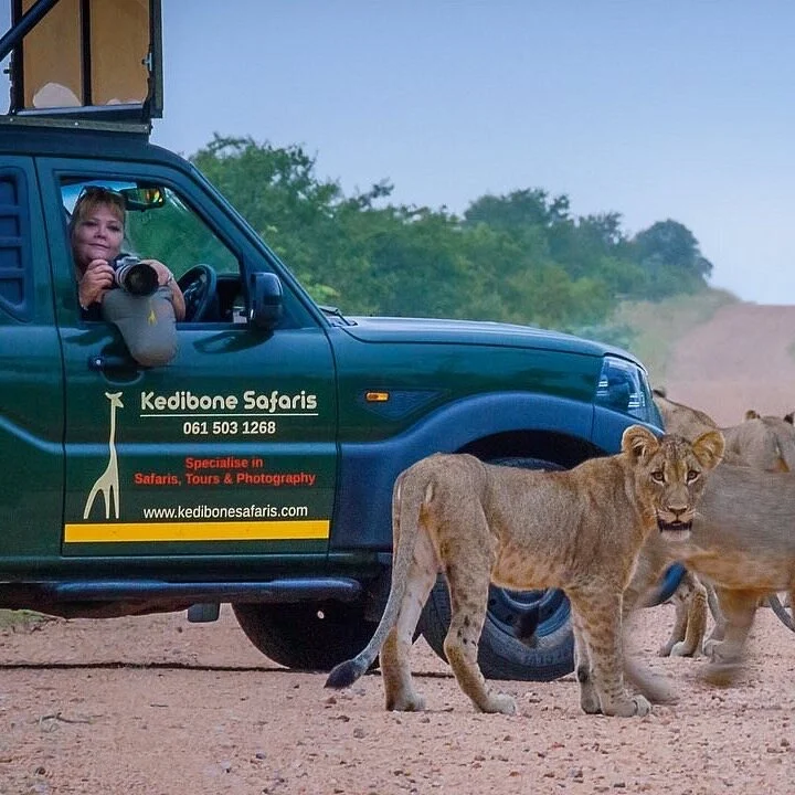 Kedibone Safaris