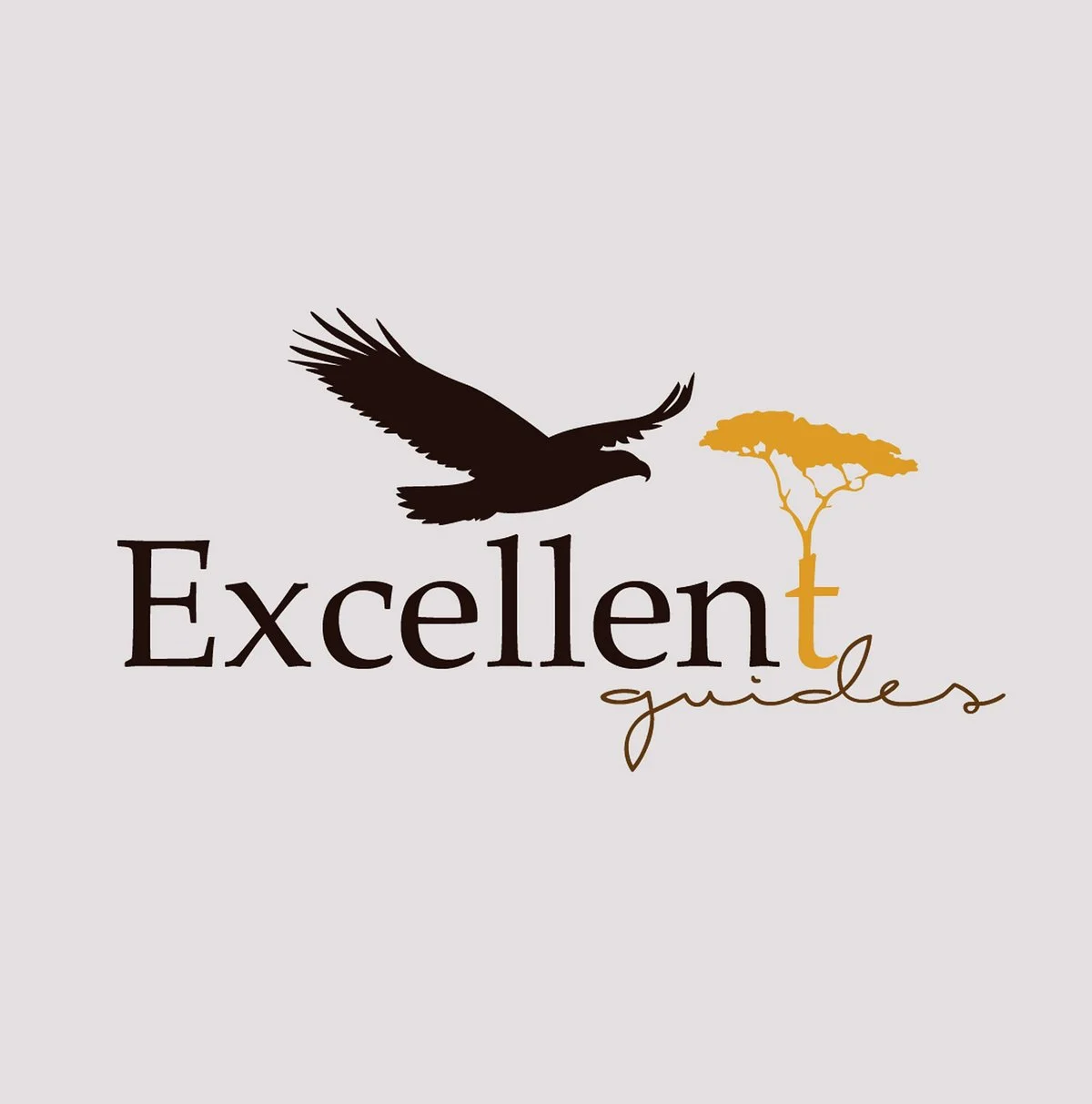Excellent Guides