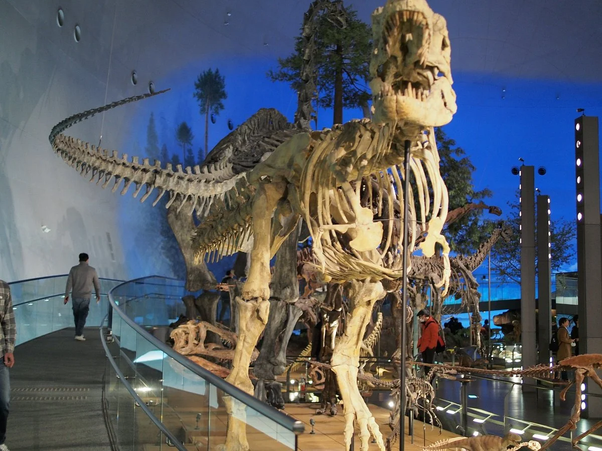Fukui Prefectural Dinosaur Museum