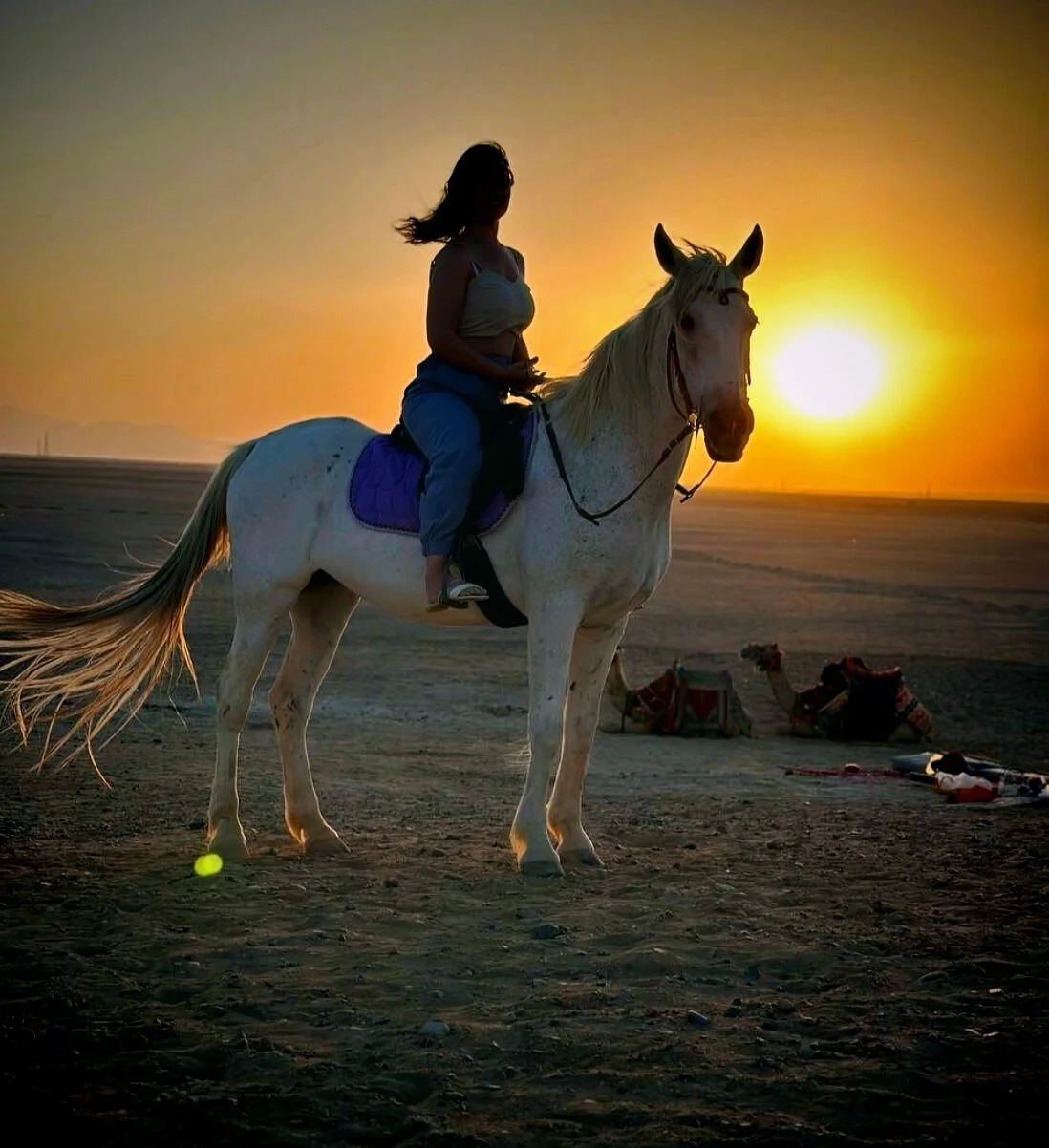 Horse Trips Iryna