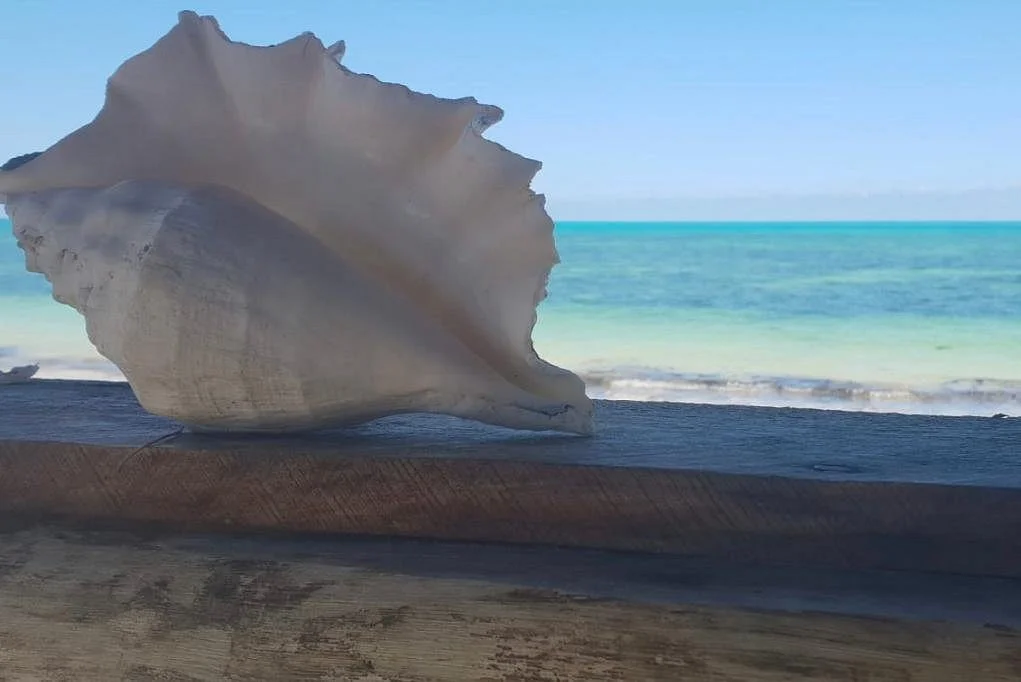 Uwesu Zanzibar Tours
