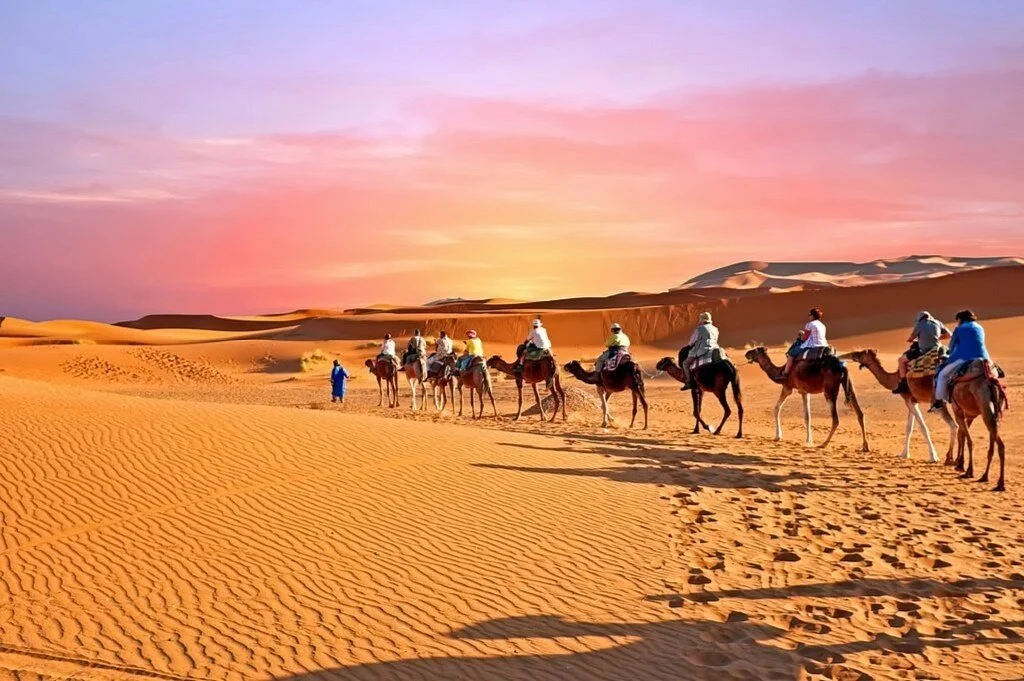 Safari Desert Tours