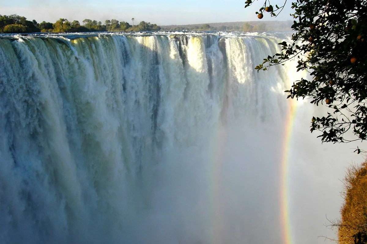 Intondolo Safaris and Tours