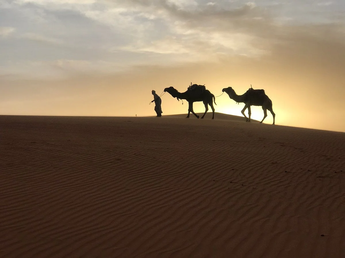Morocco Scorpion Tours