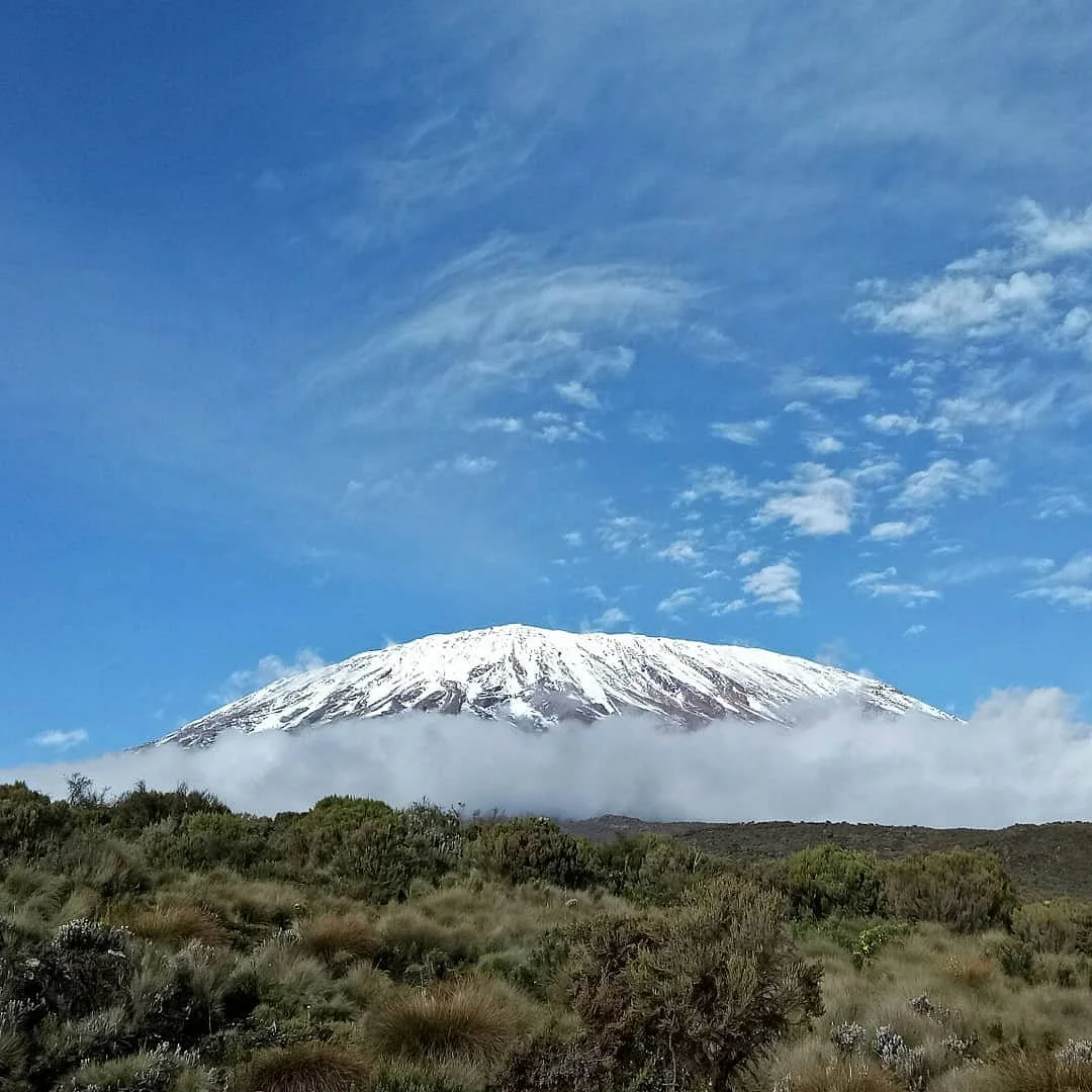 Kili Footprints
