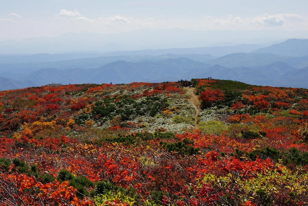 Mt. Kurikoma