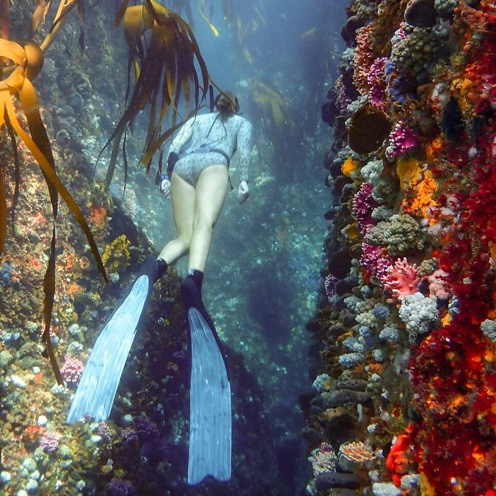 Cape Town Freediving