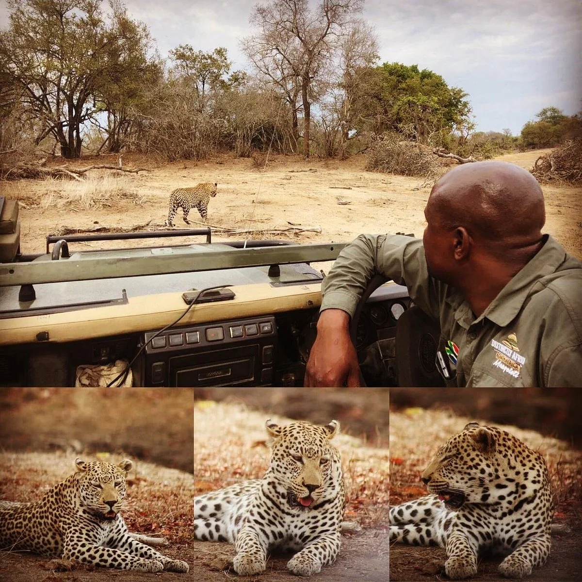 Kruger Park Travel