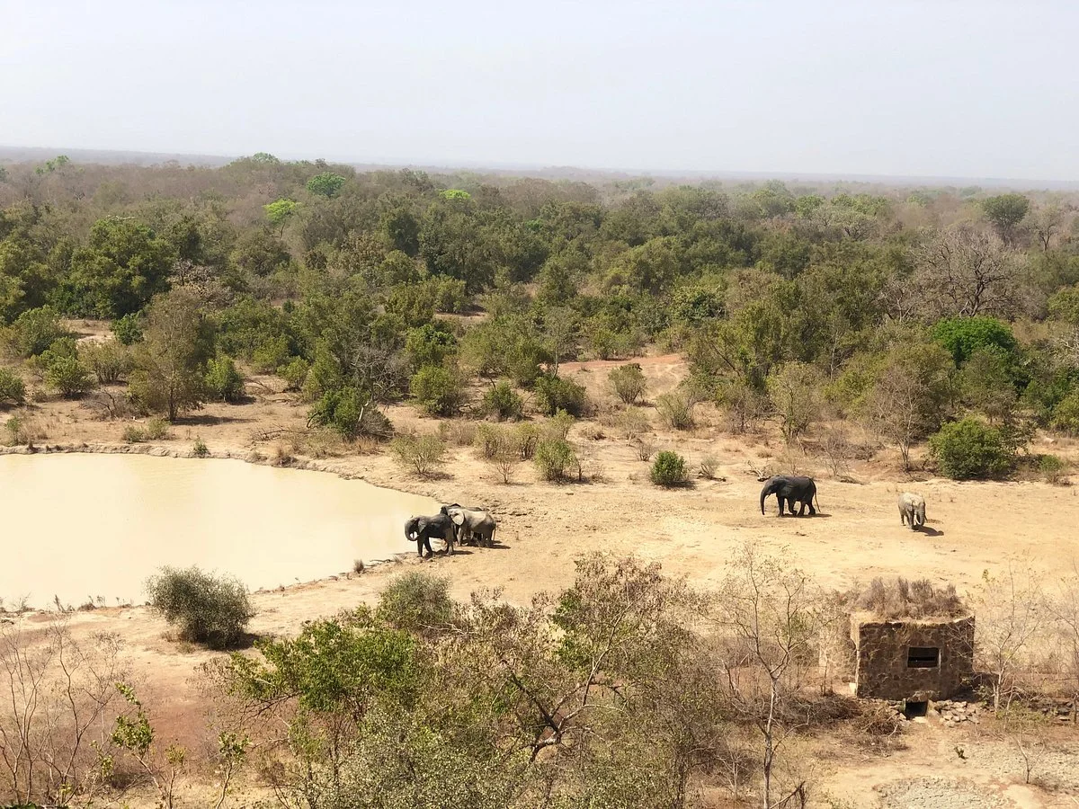 Tichama Tours
