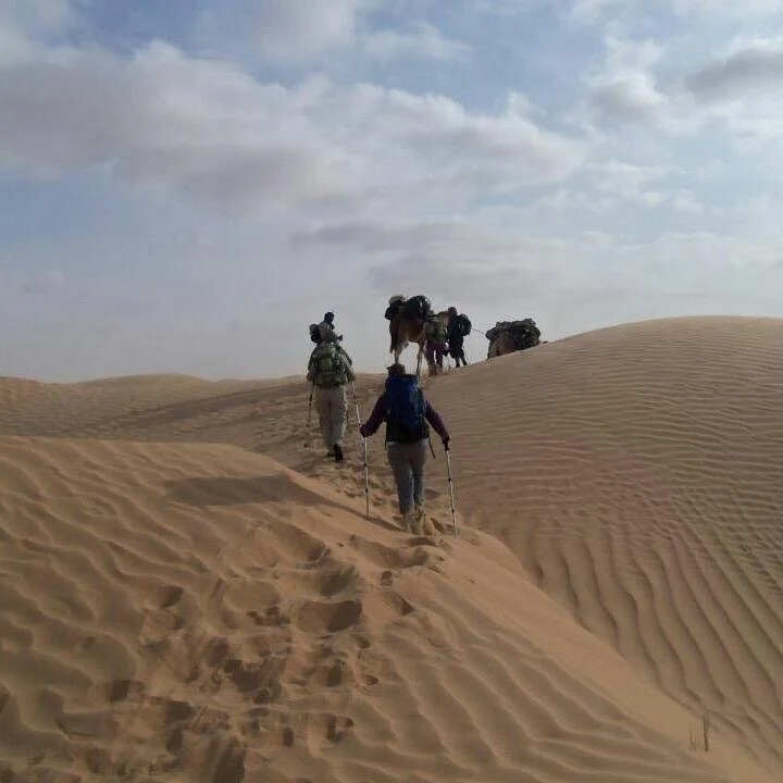 Tunisie Rêves Day Tours
