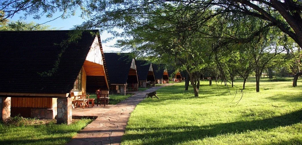 Elida Tours & Safaris