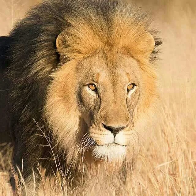 Tanzania Exclusive Journeys