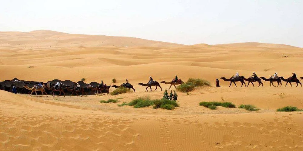 Desert Stars tours