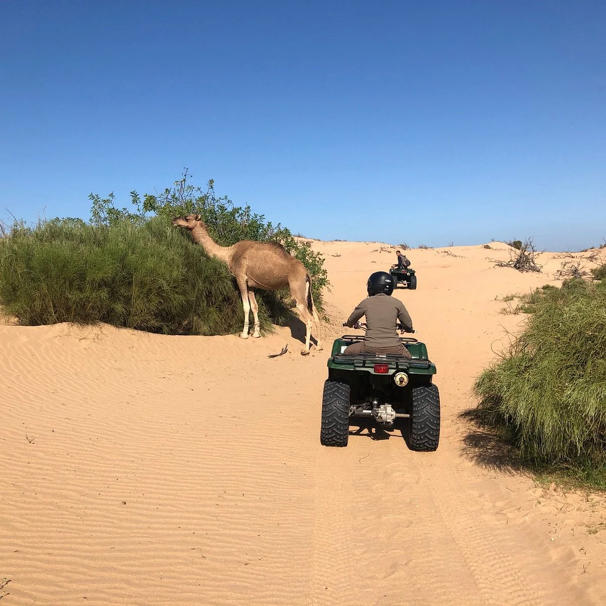 Family Adventure