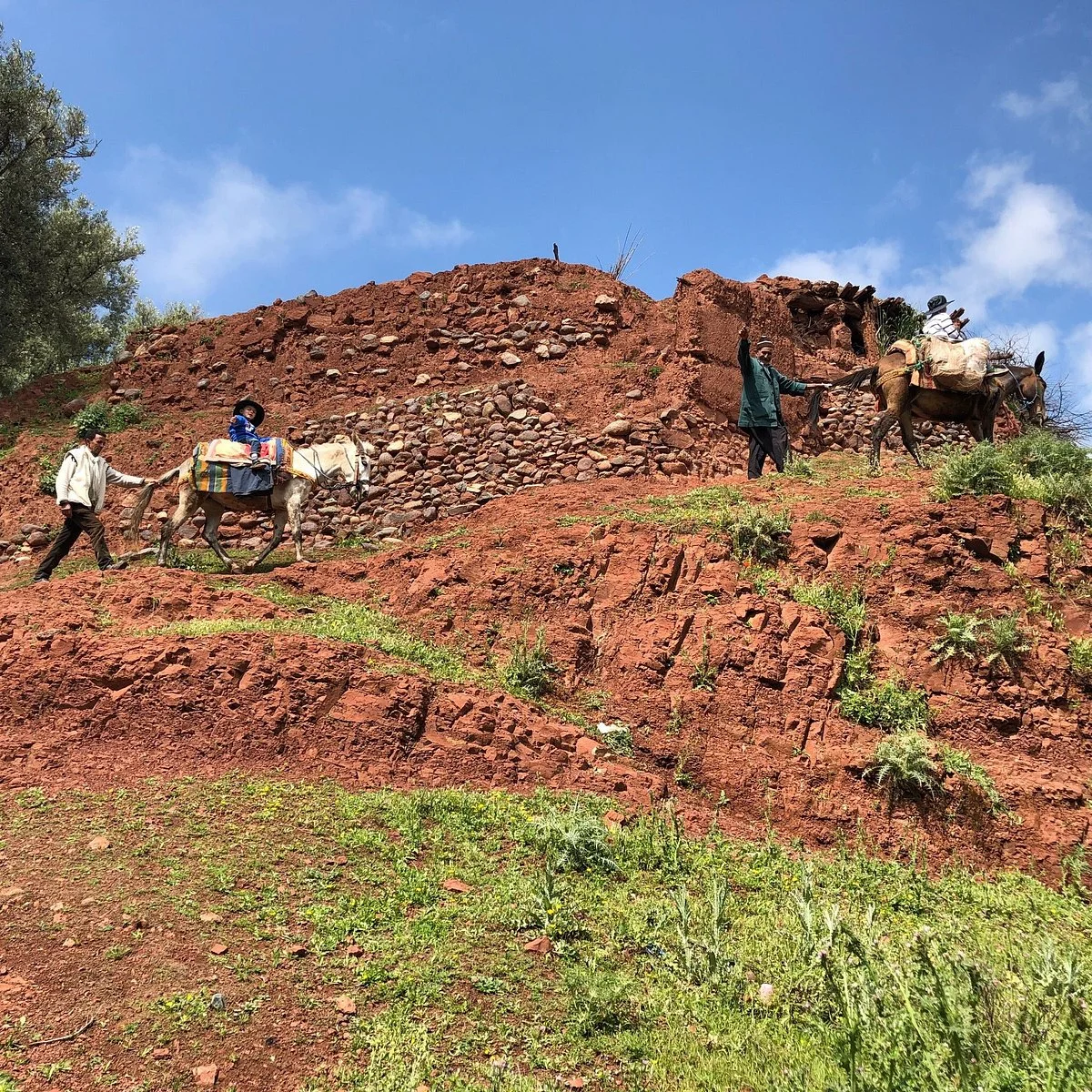 Berbere Atlas Experience