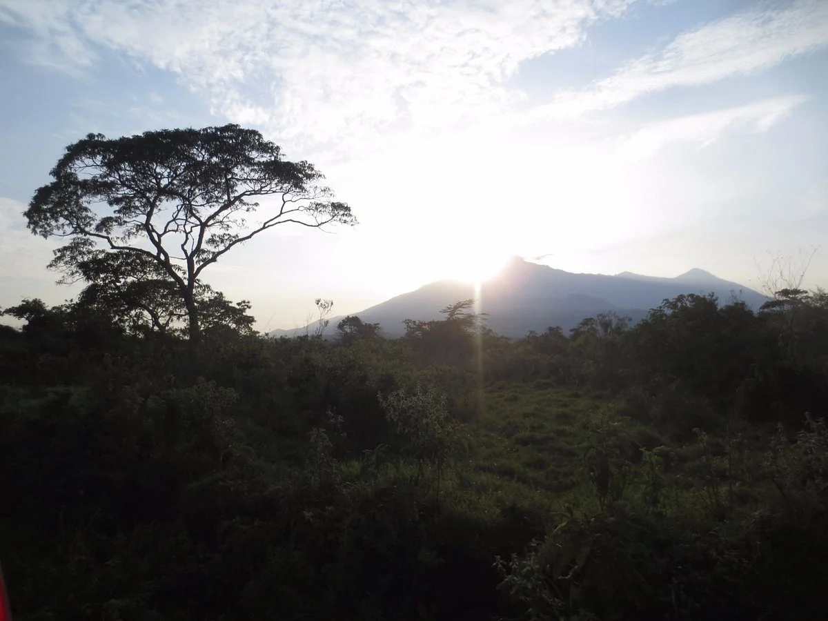 Hakuna Matata Walking Tours