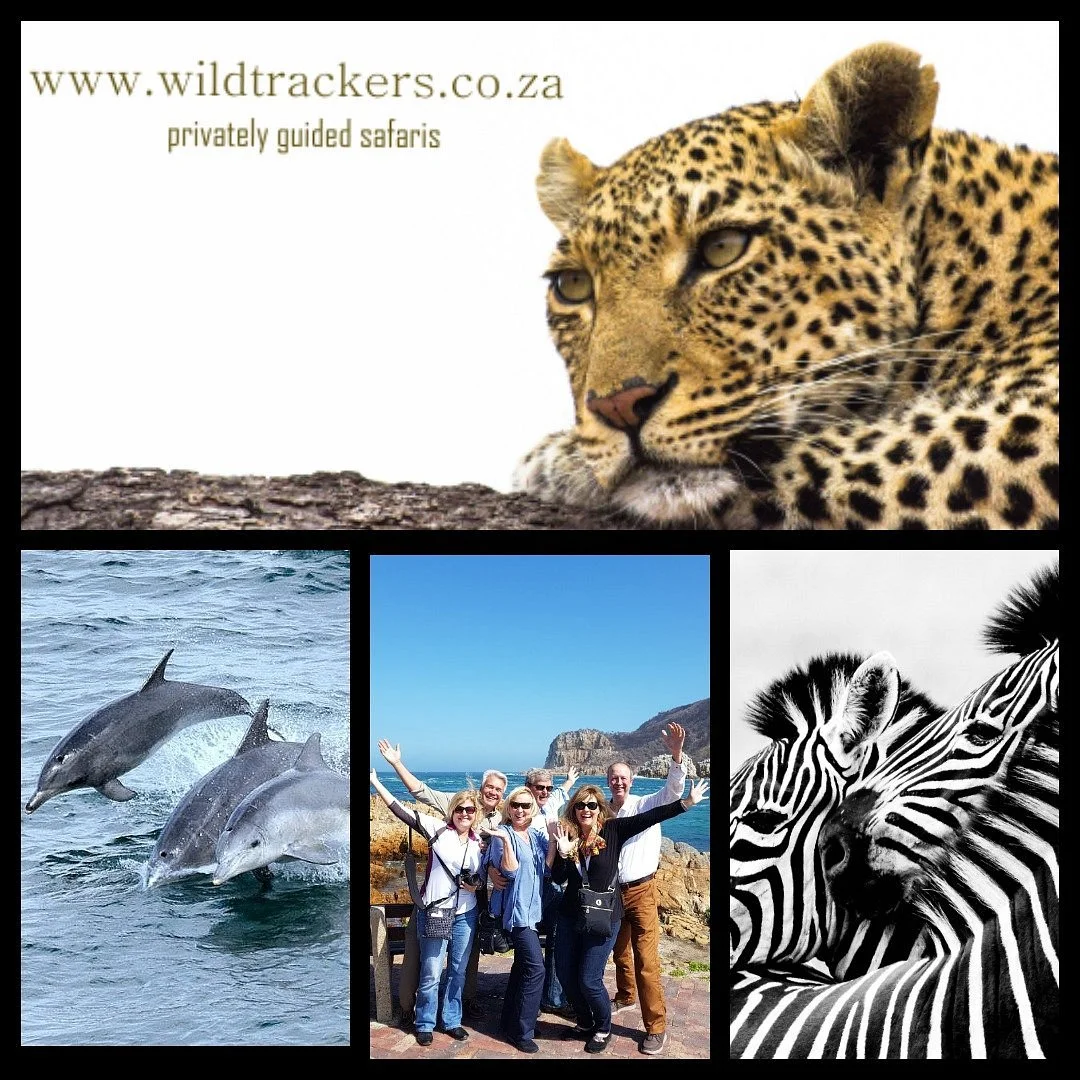 Ocean and Vine Adventures & Tours