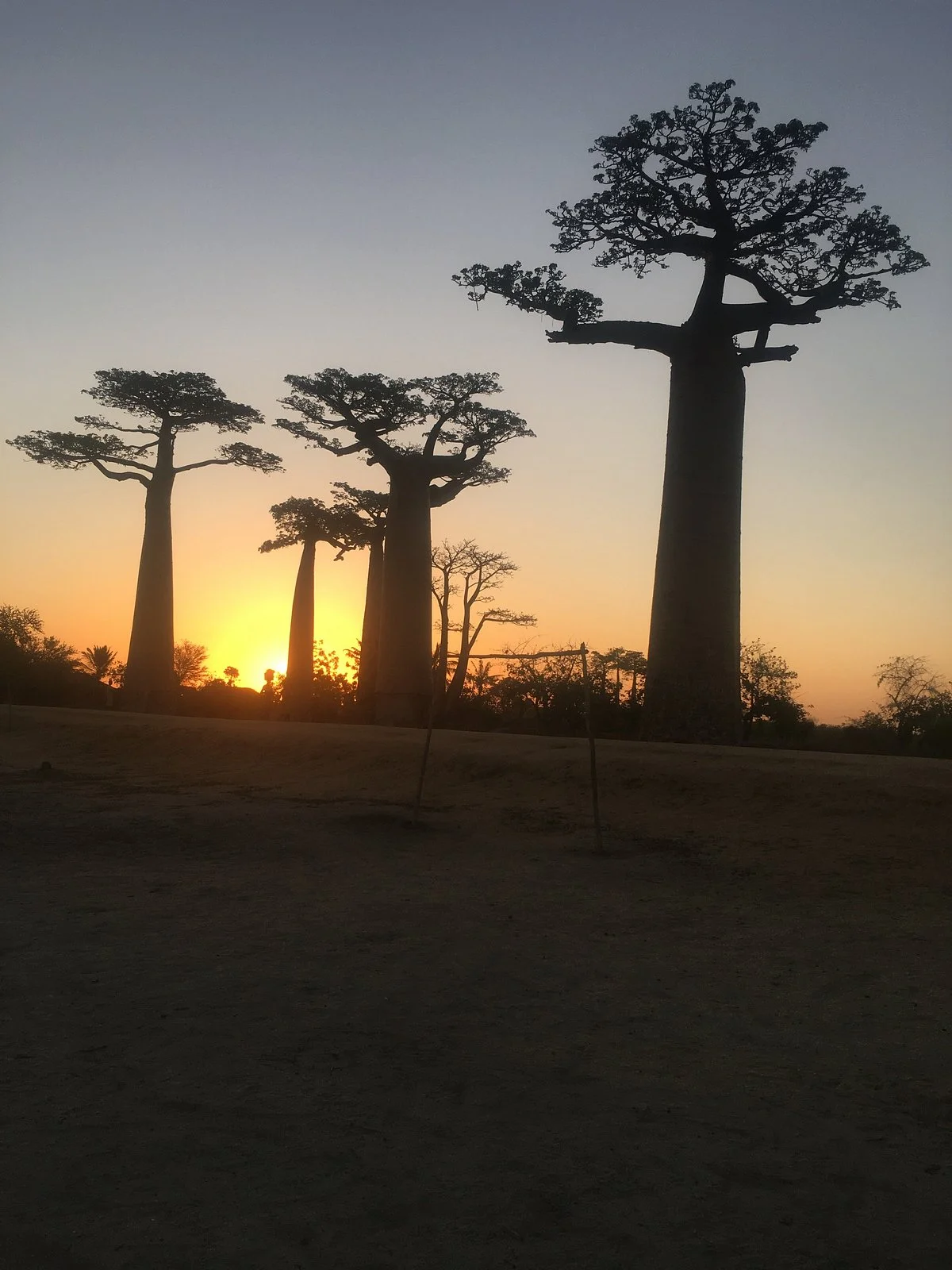 Madagascar Magic Tours