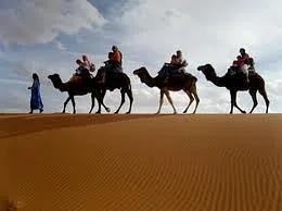 Desert Bleu Day Tours