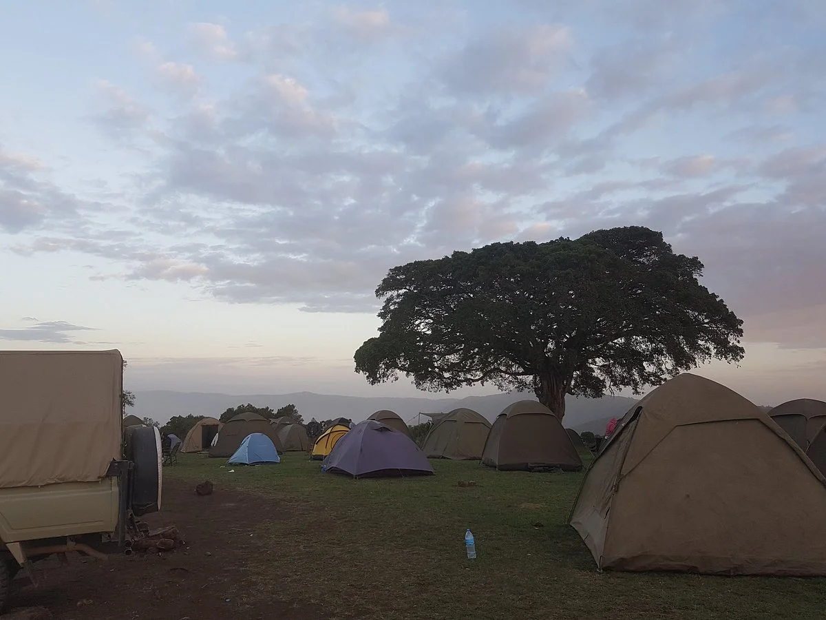 Borbo Safaris
