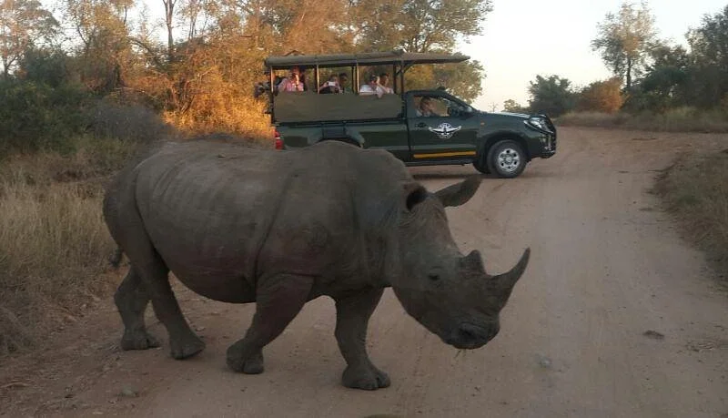 Vula Safaris