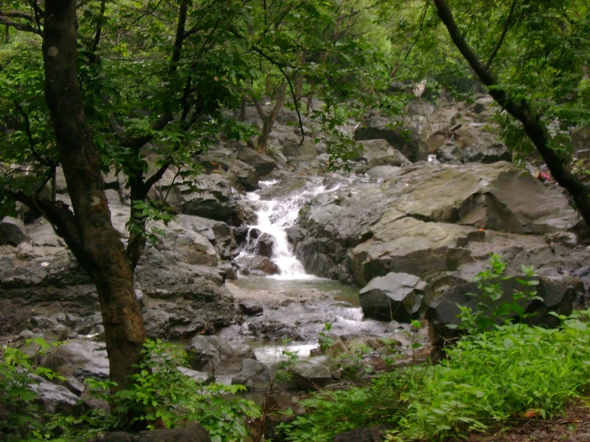 Tungareshwar Wildlife Sanctuary
