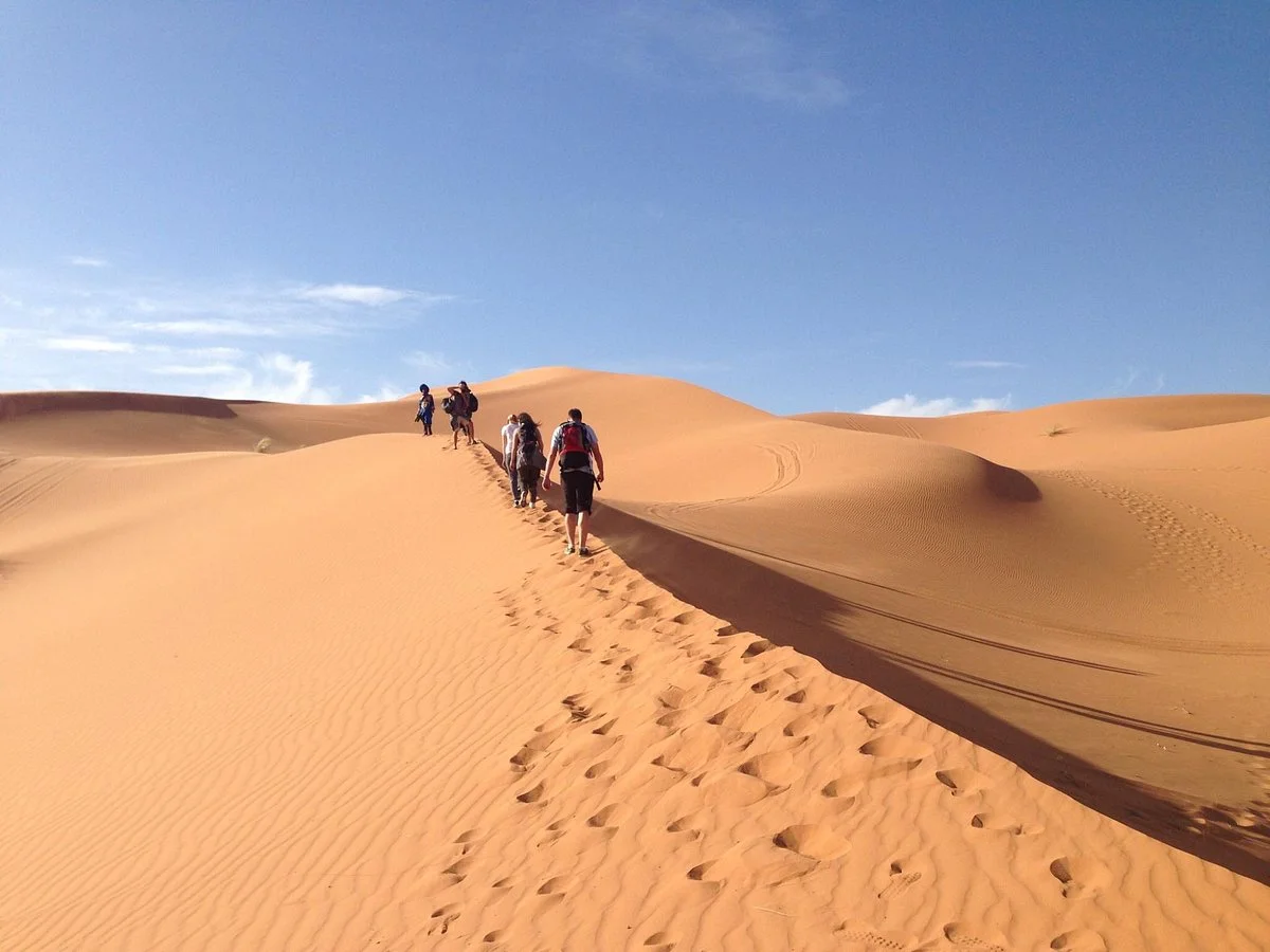 Merzouga Camel Trekking - Day Tours