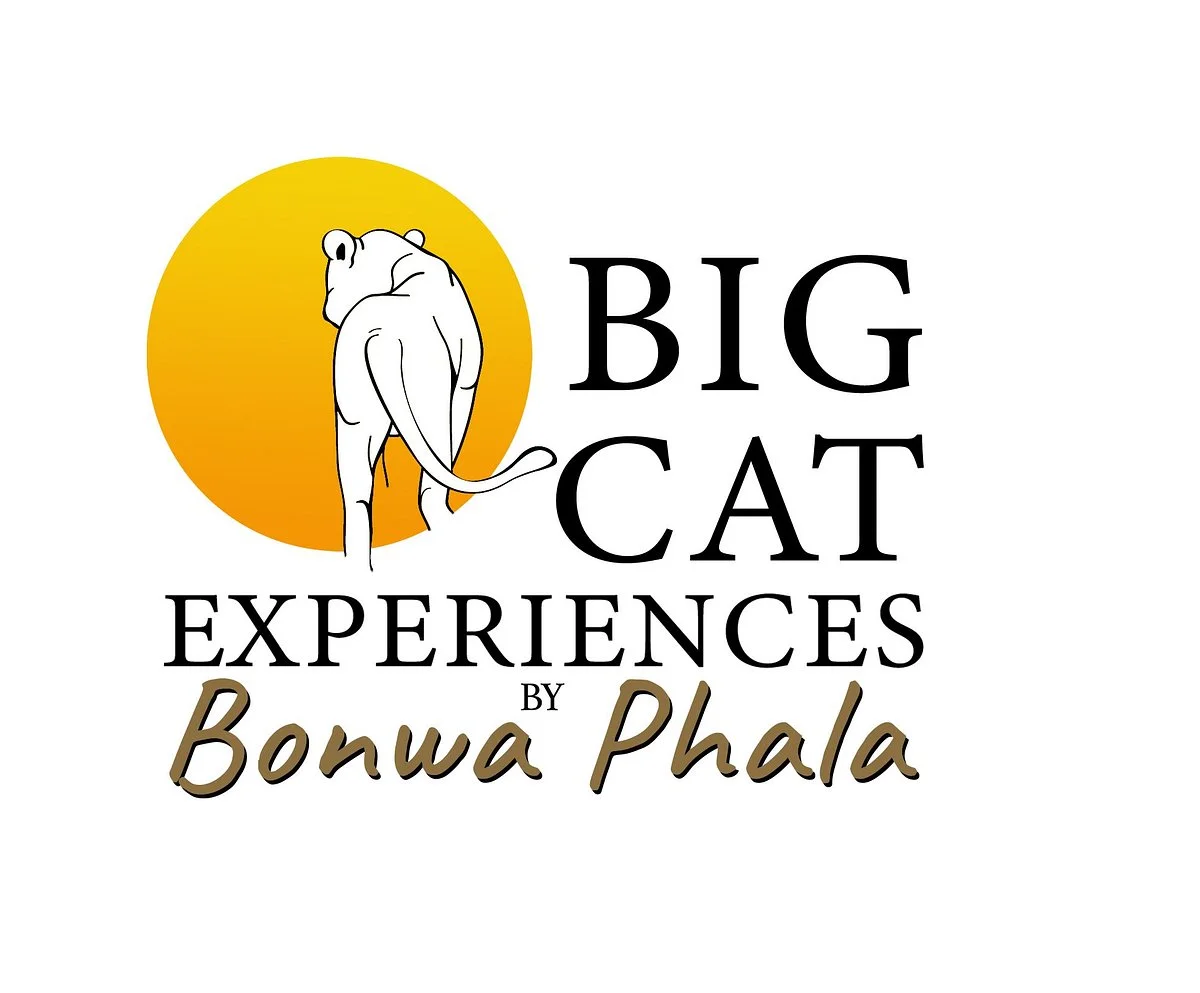 Big Cat Experiences