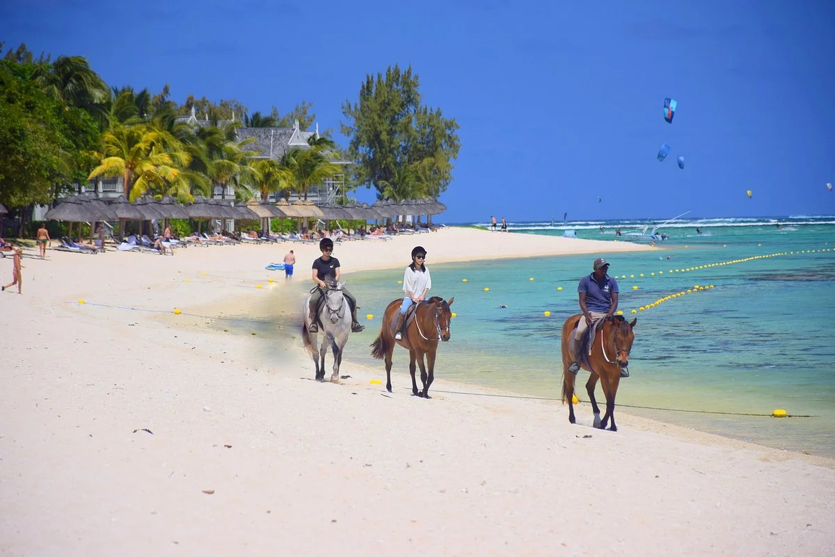 Haras Du Morne