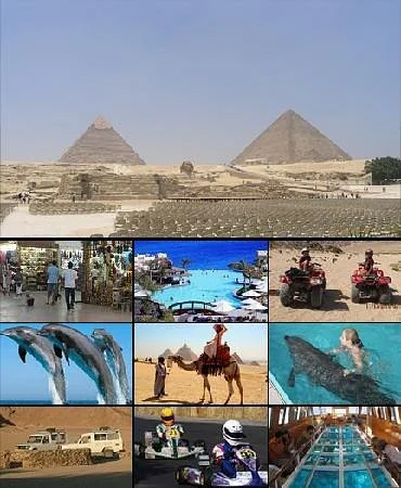 New Dawn Tours - Day Tours