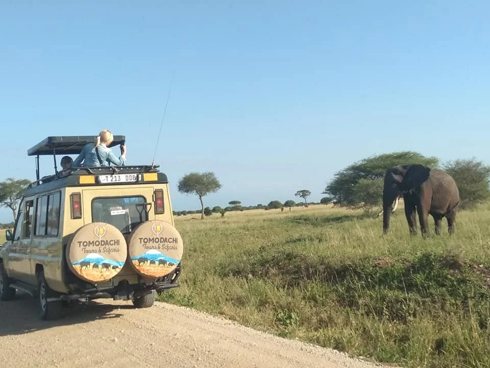 Tomodachi Tours & Safaris