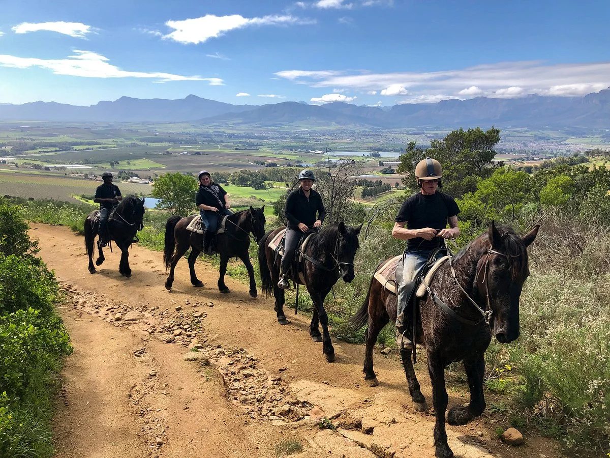 Wine Valley Adventures