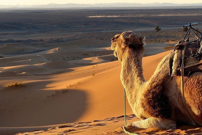 Morocco Essential Tours