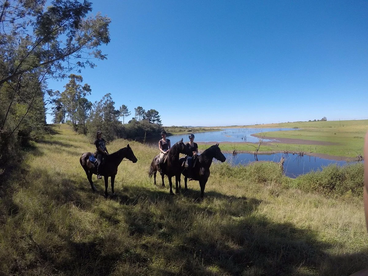Black Horse Trails