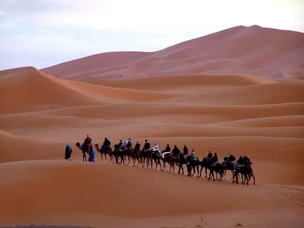 Private Desert Tours - Day Tours