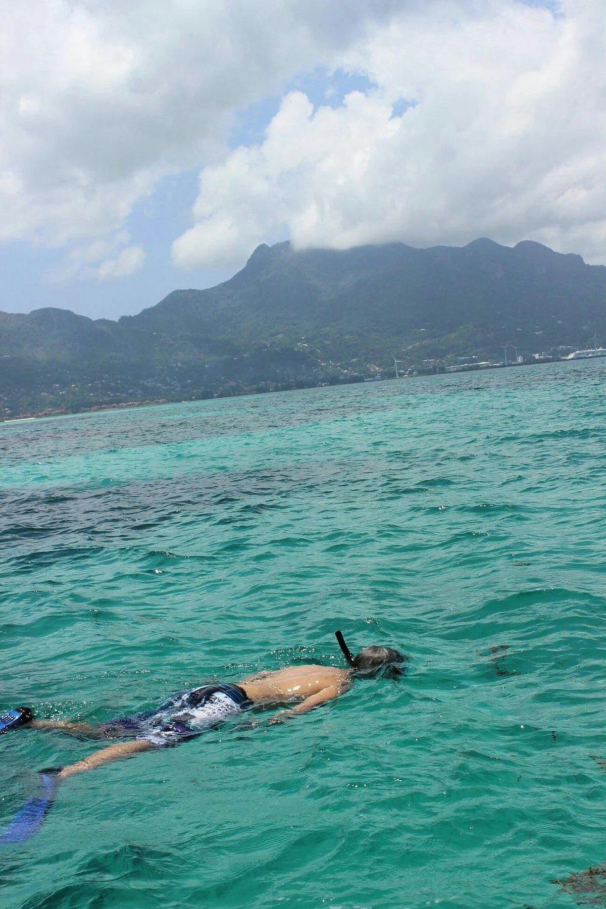 Teddy's Glass Bottom Boat