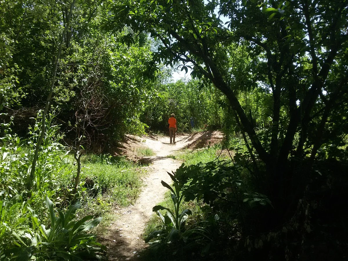 AdrouinAventure
