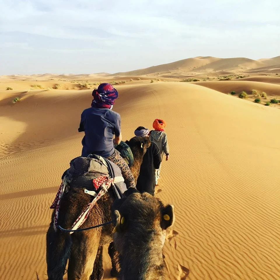 Pure Morocco Trips