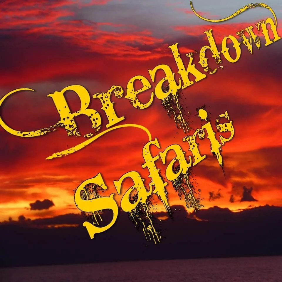 Breakdown Safaris