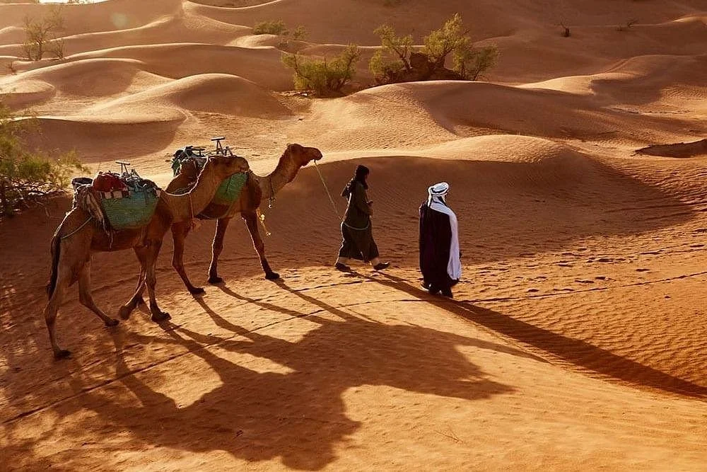 Sahara Lovers Morocco