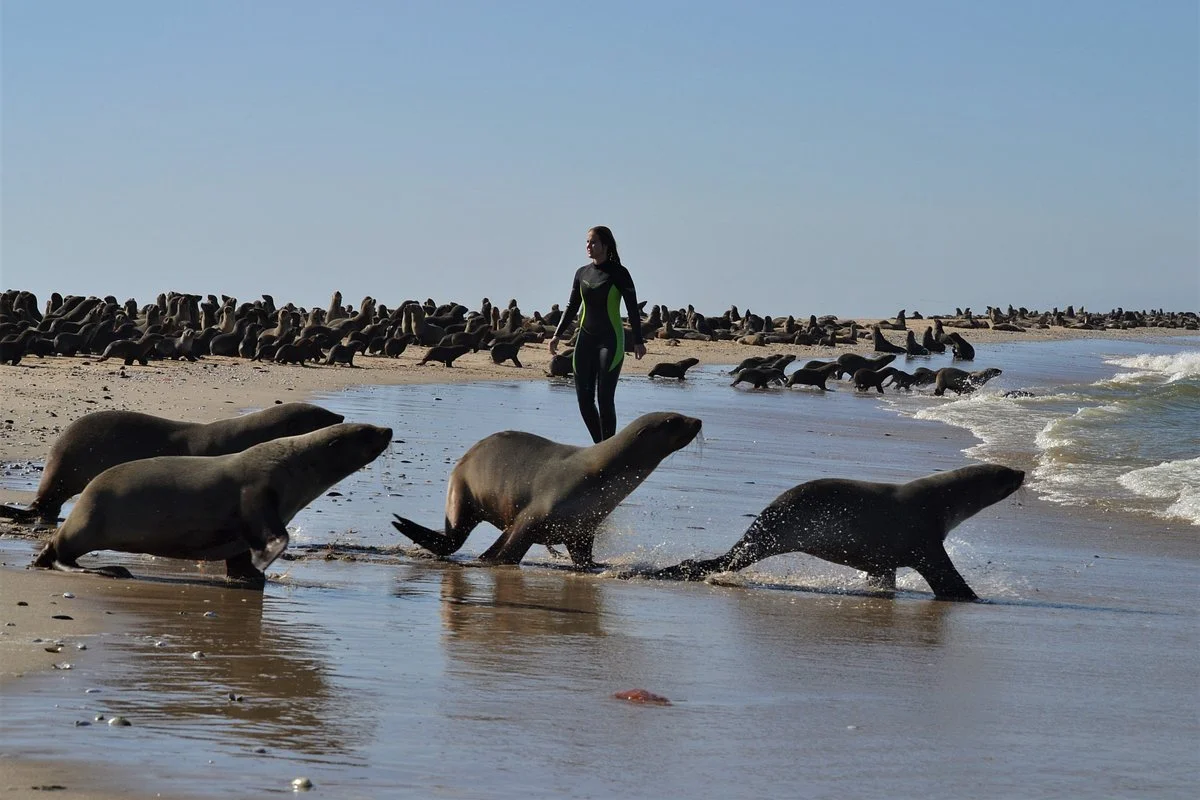 Namibia Surf Tours