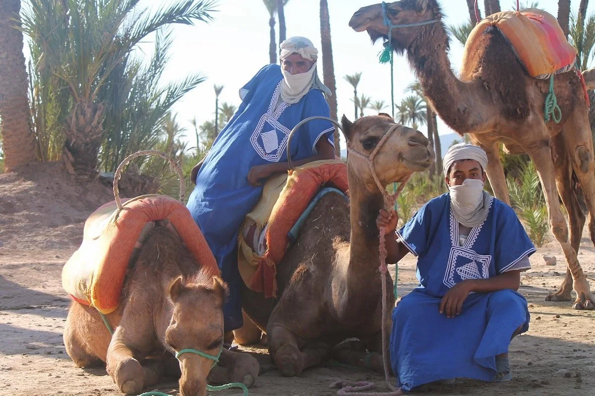 Marrakech Camel Ride