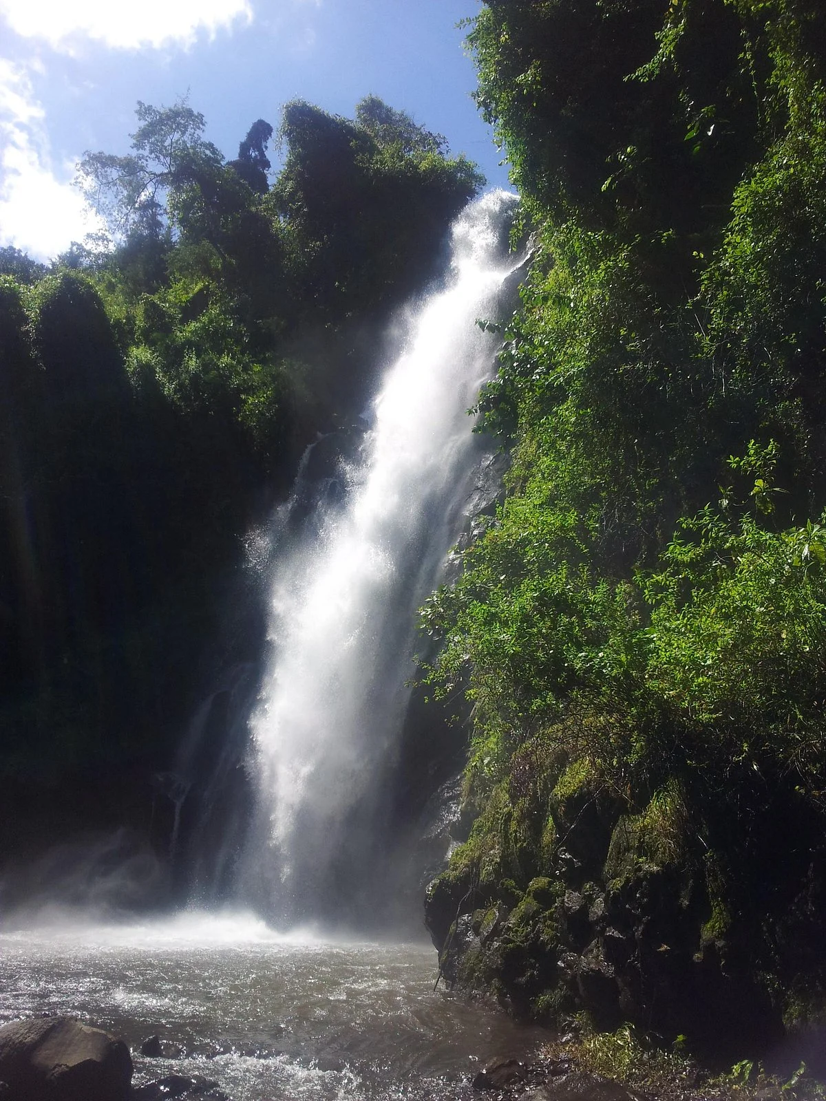 Youth Adventures and Safaris