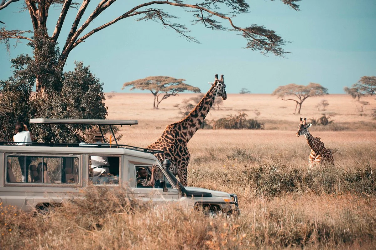 Safari Gateway