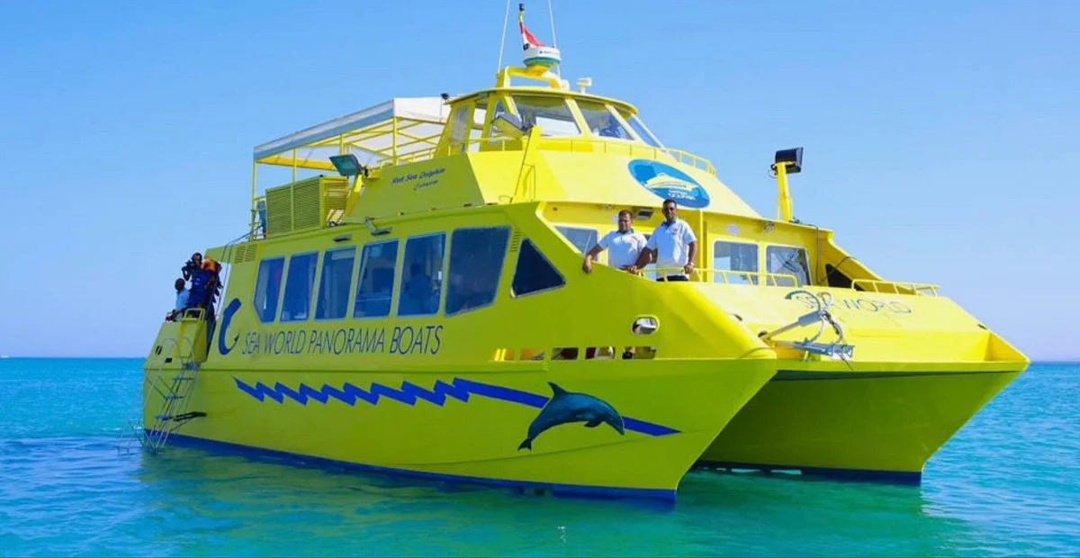 Red Sea Dolphin
