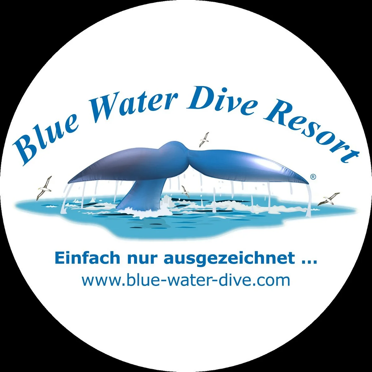 Blue Water Dive Resort