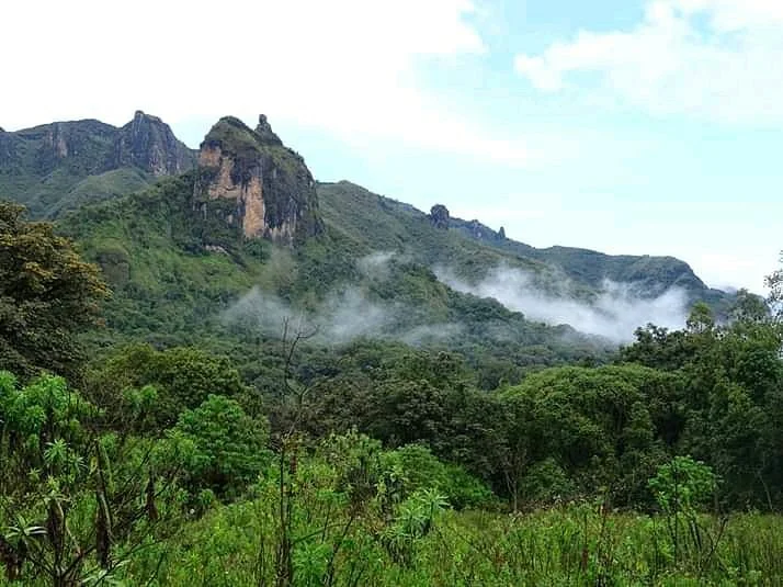 Bale Mountains Tours