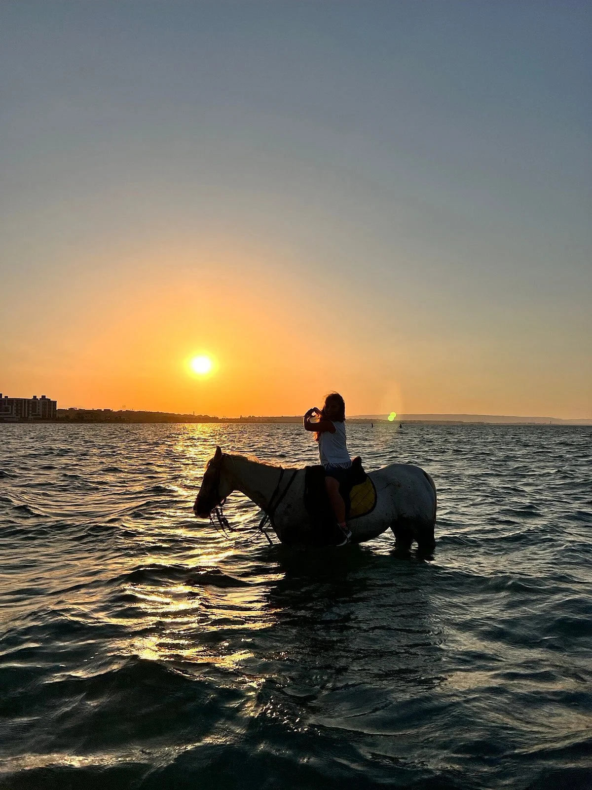 Sunset Horse Ranch