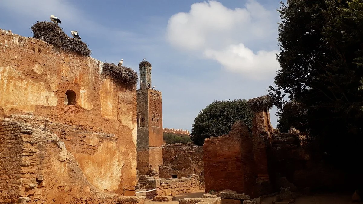 Excellent Morocco Tours