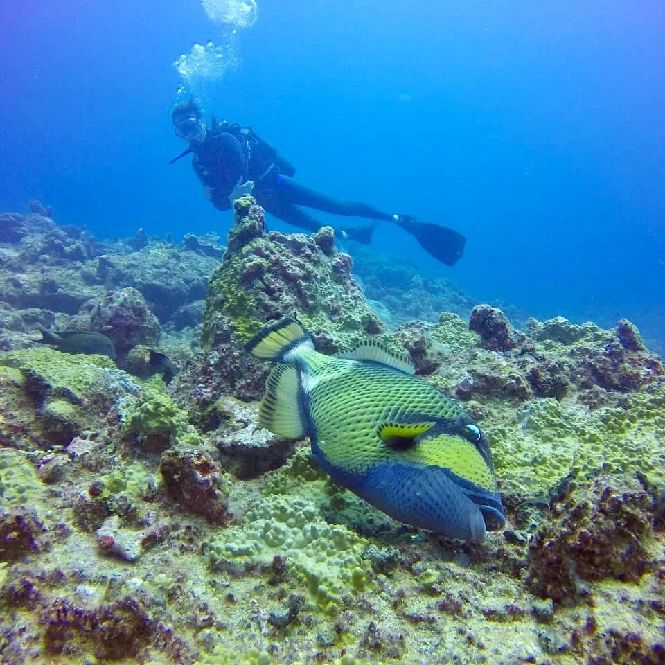 Scuba World Diving Mauritius